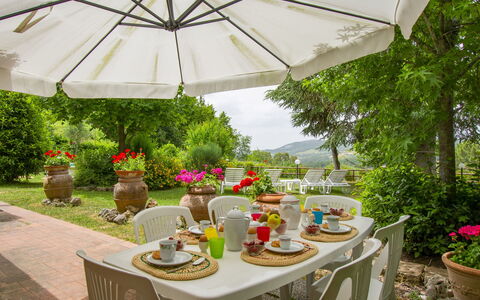 L'Antica Chiesa: Plant, Table, Property, Furniture, Food, Flowerpot, Umbrella, Flower, Tableware, Nature