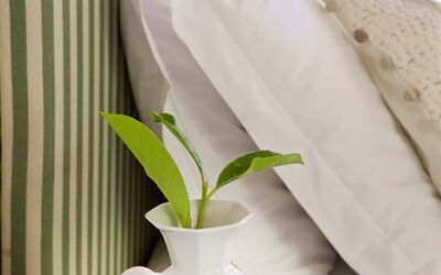 Accommodation:&nbsp;Piccolo