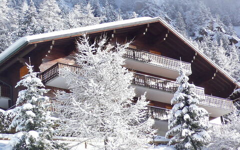 Champex 195: Snow, Building, Property, Plant, Window, House, Tree, Mountain, Slope, Cottage