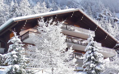 Champex 195: Snow, Building, Property, Plant, Window, House, Tree, Mountain, Slope, Cottage