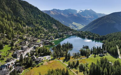 Champex 195