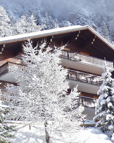 Champex 195