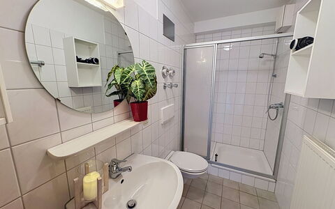 Schonach 125: Plumbing Fixture, Plumbing, Tap, Sink, Bathroom Sink, Bathroom, Hotel, Houseplant