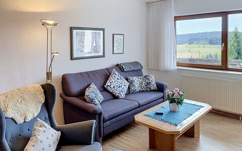 Accommodation:&nbsp;Schwarzwaldblick 125.11
