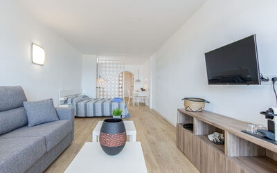 Accommodation:&nbsp;Bahia i 215.1
