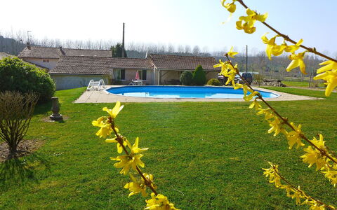 La Grangette: Yellow, Plant, Grass, Flower, Spring, Garden, Tree, Lawn, Landscape, Wildflower