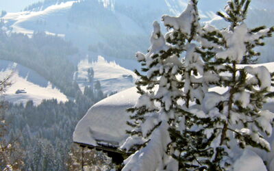 Chalet le Chamois