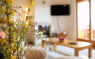 Accommodation:&nbsp;Domaine des Reines D3 662.12