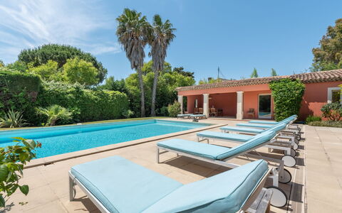 Les Mûres Mûres: Plant, Sky, Property, Water, Swimming Pool, Tree, Azure, Shade, Outdoor Furniture, Building