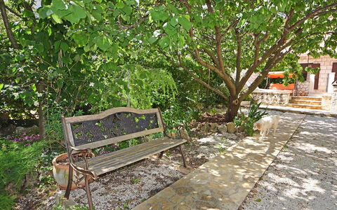 Marija: Property, Tree, Bench, Furniture, Plant, Real Estate, Grass, Outdoor Bench, Landscape, House