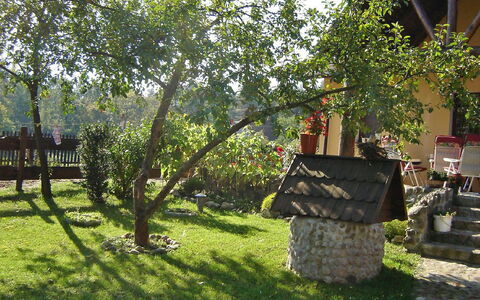 Marylin: Tree, Plant, Grass, Landscape, Yard, Stone Wall, House