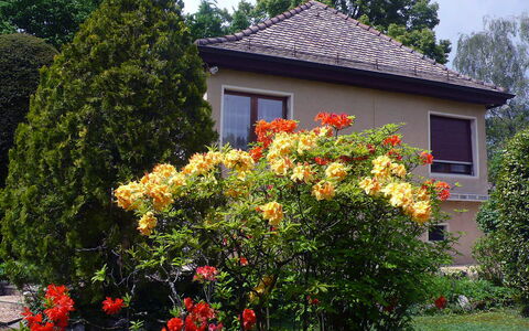 5, Chemin de la Pralay: Flower, Plant, Building, Window, Sky, Tree, Leaf, House, Vegetation, Biome