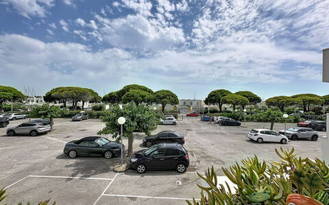 Port Camargue 530: Shrub, Garden, Residential Area, Plant Community, Land Lot, Groundcover, Landscaping, Backyard, Yard