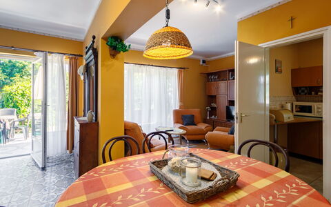 Verde: Table, Furniture, Property, Building, Window, Plant, Chair, Wood, Interior Design, Lighting