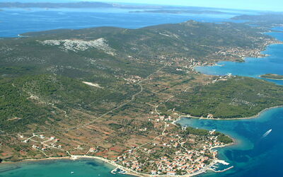 Ankica