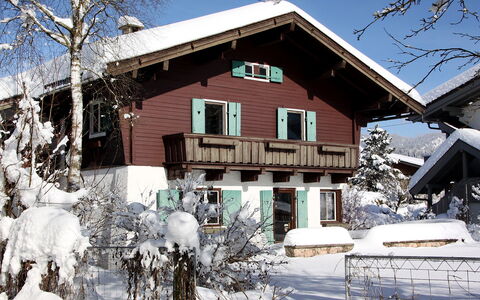 Patricia: Building, Sky, Snow, Window, Plant, Tree, House, Branch, Neighbourhood, Freezing