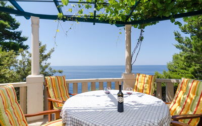 Accommodation:&nbsp;Plavac Mali 301.3