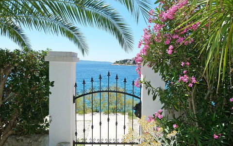 Tija: Vegetation, Property, Tree, Pink, Bougainvillea, Plant, Vacation, Botany, Flower, House