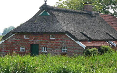 Norddeich 651: Roof, Cottage, House, Property, Thatching, Home, Farmhouse, Building, Rural Area, Grass