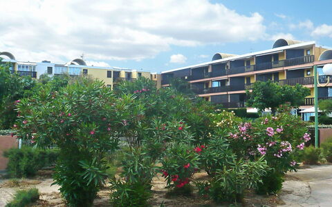 Gruissan Plage: Property, Residential Area, Plant, Tree, Flower, Sky, Neighbourhood, Urban Area, Botany, Real Estate