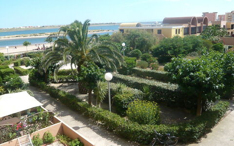 Gruissan Plage: Plant, Sky, Cloud, Property, Building, Water, Vegetation, Land Lot, Urban Design, Arecales
