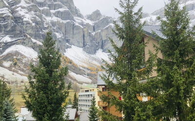 Accommodation:&nbsp;Edelweiss a 450.4