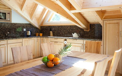 Accommodation:&nbsp;Edelweiss a 450.1