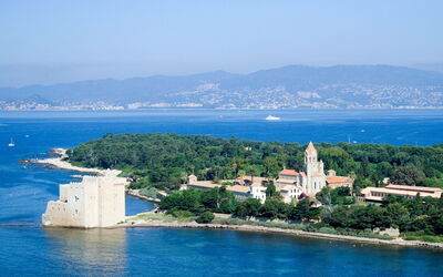 Cannes 462