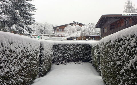 Les Chamois: Snow, Winter, Freezing, Tree, Frost, Sky, Home, Shrub, Black-And-White, House