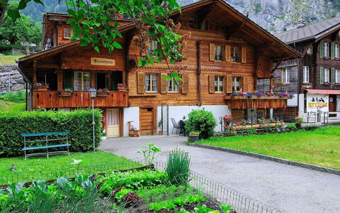 Grosshorn: Plant, Building, Window, Green, Nature, Natural Landscape, Tree, Wood, House, Land Lot