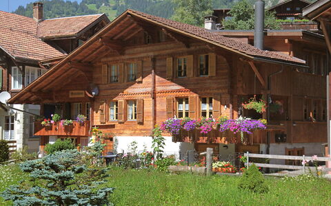 Grosshorn: Plant, Flower, Property, Building, Window, Tree, Wood, House, Sky, Land Lot