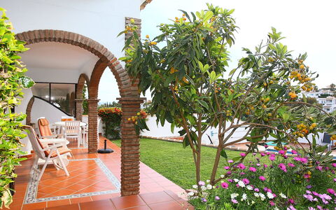 Villa Cielo: Plant, Flower, Building, Green, Flowerpot, Houseplant, Chair, Outdoor Furniture, House, Leisure