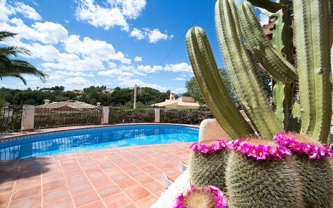 Luz Y Paz: Cactus, Property, Majorelle Blue, Swimming Pool, Sky, Flower, Botany, Plant, Real Estate, Resort