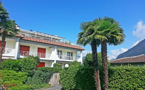 Collina Verde B: Property, Tree, House, Vegetation, Real Estate, Home, Building, Palm Tree, Estate, Vacation