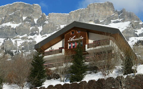 Leukerbad 550: Sky, Cloud, Mountain, Snow, Natural Landscape, Highland, Slope, Freezing, Window, Mountainous Landforms