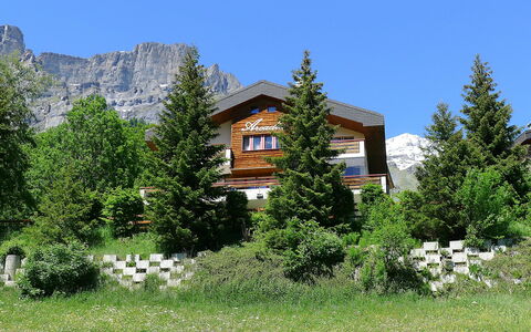 Leukerbad 550: Plant, Sky, Plant Community, Building, Tree, Natural Landscape, Larch, Land Lot, House, Window