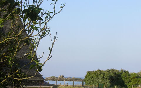 Sables Blancs: Tree, Vegetation, Sky, Branch, Water, Waterway, Woody Plant, Leaf, Plant, River