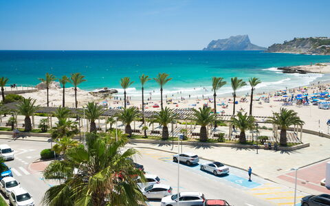 Pla del Mar: Water, Sky, Water Resources, Plant, Azure, Natural Landscape, Tree, Beach, Coastal And Oceanic Landforms, Lake