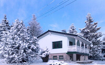 Edelmann
