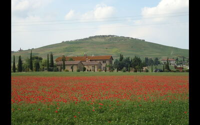 Accommodation:&nbsp;Cinghialino