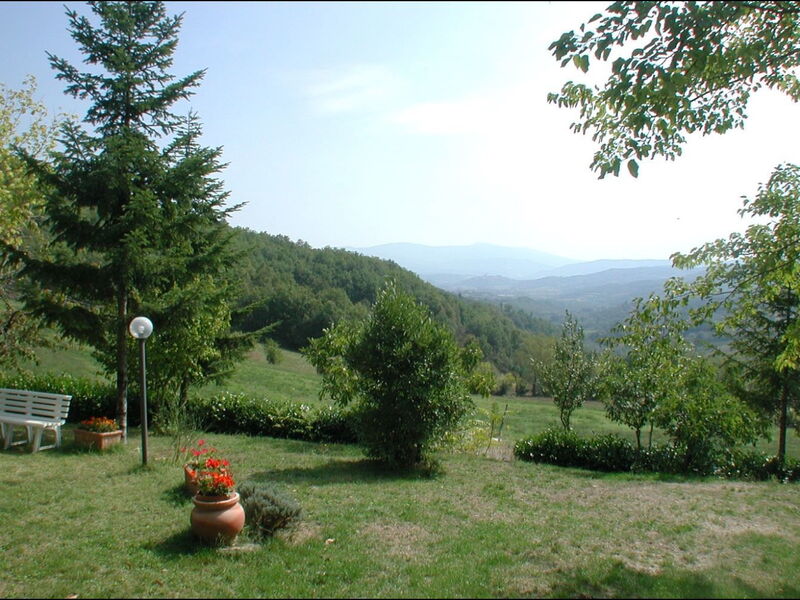 Accommodation:&nbsp;La Falcionaia