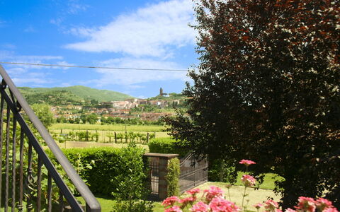 Pozzonovo: Hill, Landscape, Shrub, Land Lot, Garden, Spring, Hill Station, Lawn, Landscaping, Yard