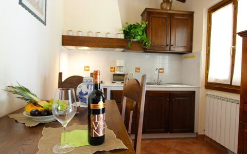 Accommodation:&nbsp;Il Tulipano