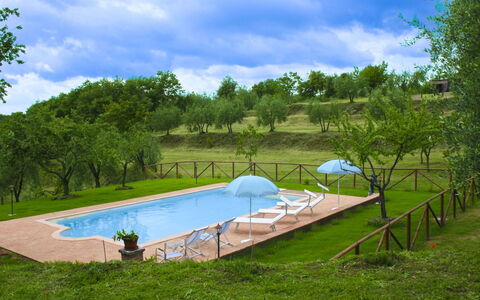 Country House Il Galleto: House, Shrub, Rural Area, Cottage, Estate, Village, Farmhouse, Garden, Landscaping