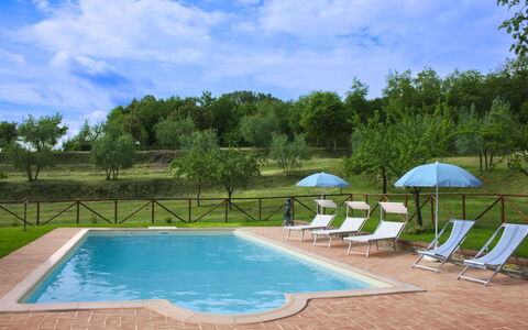 Country House Il Galleto: House, Shrub, Rural Area, Cottage, Estate, Village, Farmhouse, Garden, Landscaping