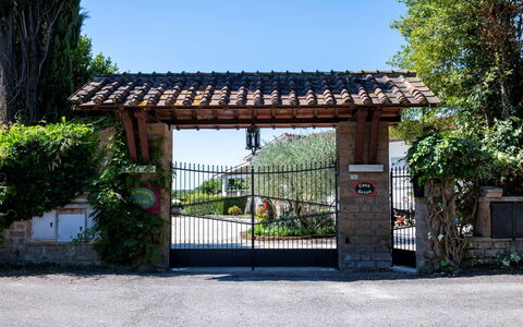 Casa Grion: Tree, Landscape, Land Lot, Rural Area, Park