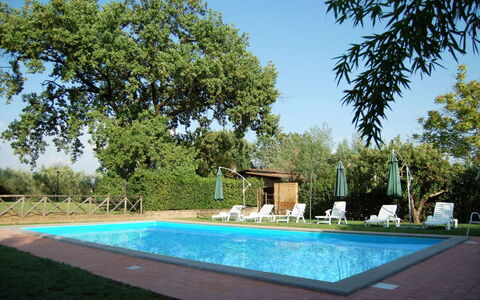Casa Grion: Water, Plant, Sky, Property, Green, Azure, Shade, Grass, Swimming Pool, Tree