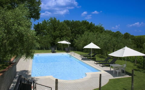 Podere San Bono: Swimming Pool, Outdoor Furniture, Furniture, Resort, Shade, Composite Material, Sunlounger, Chair, Leisure, Umbrella