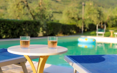 Olivo: Water, Table, Furniture, Property, Tableware, Azure, Outdoor Furniture, Plant, Outdoor Table, Tree