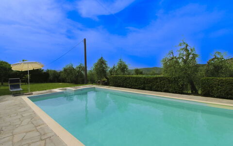 Olivo: Grass, House, Home, Rural Area, Cottage, Farmhouse, Estate, Meadow, Lawn, Landscaping